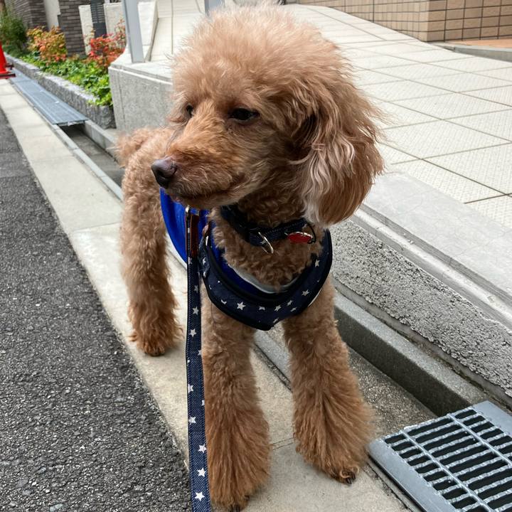 587fe861 b716 44ad 9f5a 1eab2063ccf5 1688137395884