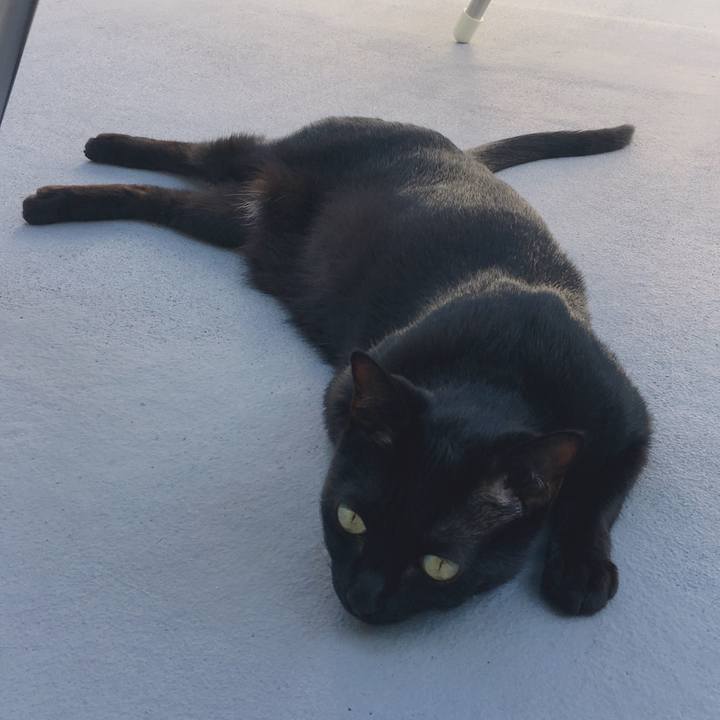 587ff1bb 5361 4245 bbbd 900231288f9b 1538886180156