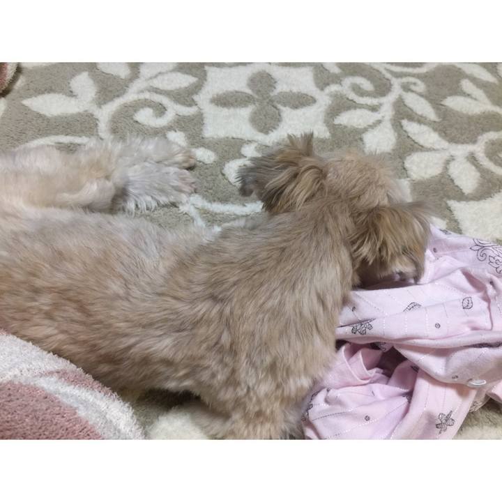 5880156e 64e3 472a b022 fb401d414fa2 1542197248319