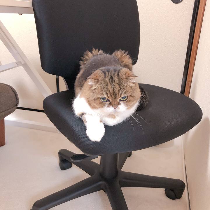 58802135 16f2 409f a896 4737831bb0e4 1623752227732