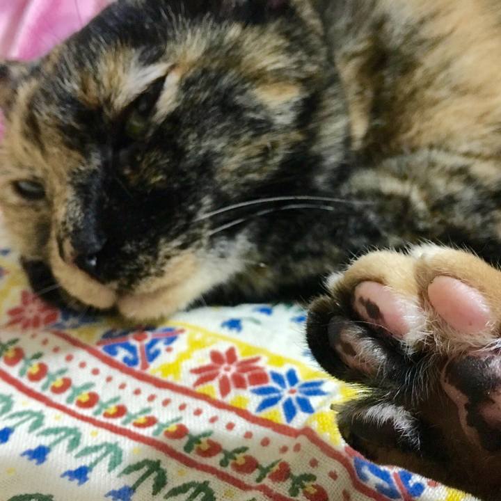 58802c27 e8ea 4a00 bad4 7a9253991fc9 1524948587705