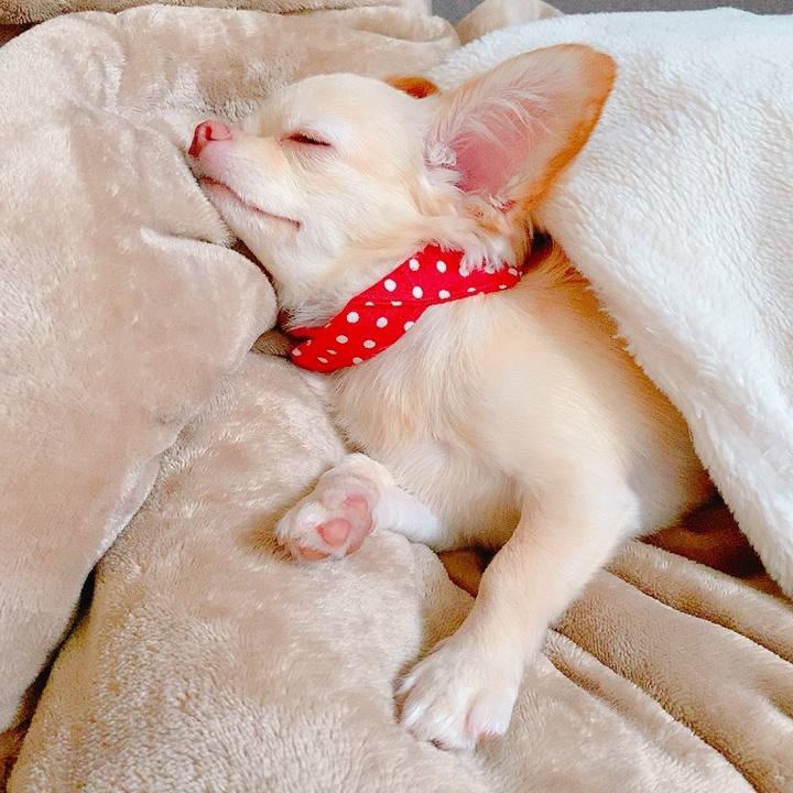 588032d9 266d 4f3e af88 e4a804bf798d 1629683338481