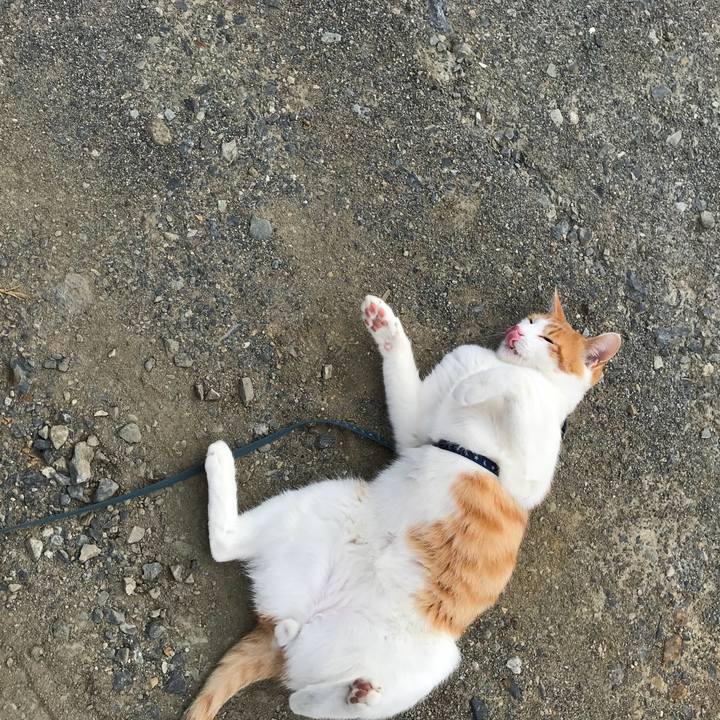 588046e3 41b0 42cc ac07 ba2af966ce81 1511235404931