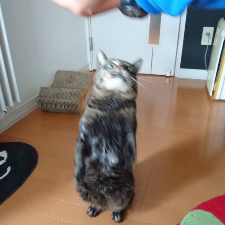 588061c2 2180 4caa a1a2 d17e6000a31b 1537999548089