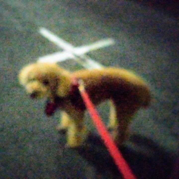 58806aa2 90a4 460e b5e1 ed7b35cdb6a7 1637314929947