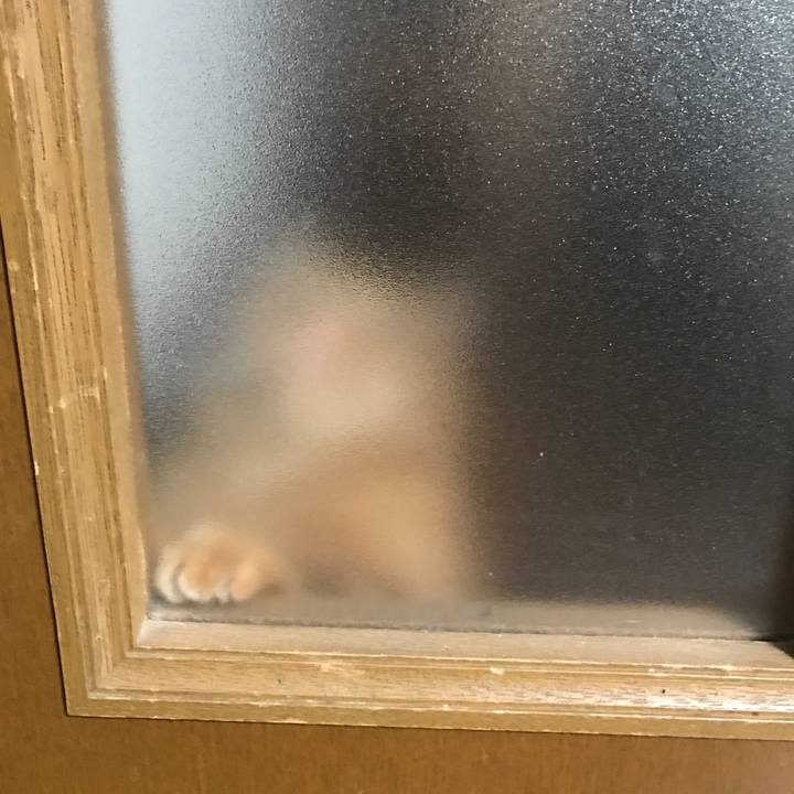 5880745a 1066 4d16 b189 cf4a992826f7 1525957694538