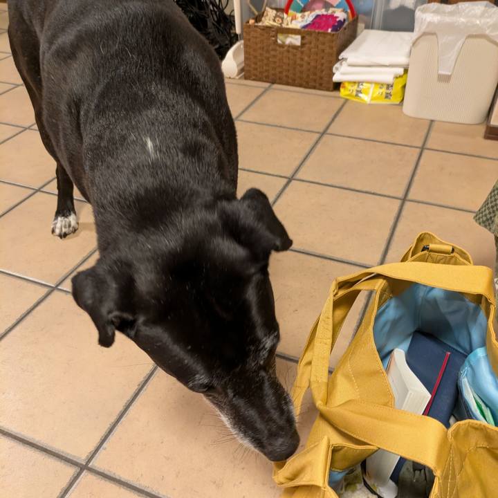 5880a589 2b14 48cc ad93 93db1b7f8283 1752501399051