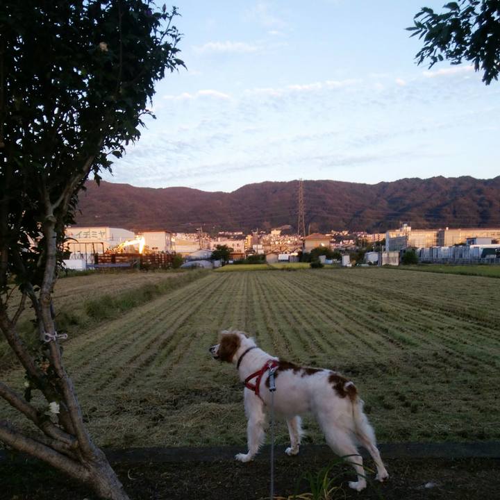 5880d3c4 6e8d 4684 ae7a 234f7f94872e 1538998070485