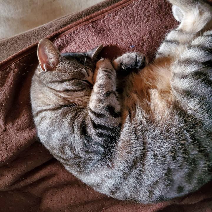 5880d581 8941 4e7d a583 625f0b7bb73f 1716515248527