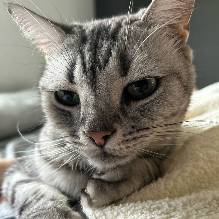 5880dab7 c412 4286 b9a4 35884885b8c0 1725922468874