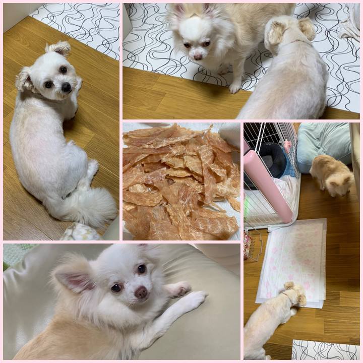 588150d5 7d9c 4aec 9ada 7097d7cf675b 1596171852438