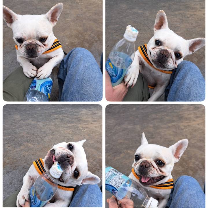 58819803 0bd5 4db6 a2ef 37d0c9e4b2dc 1715508867161