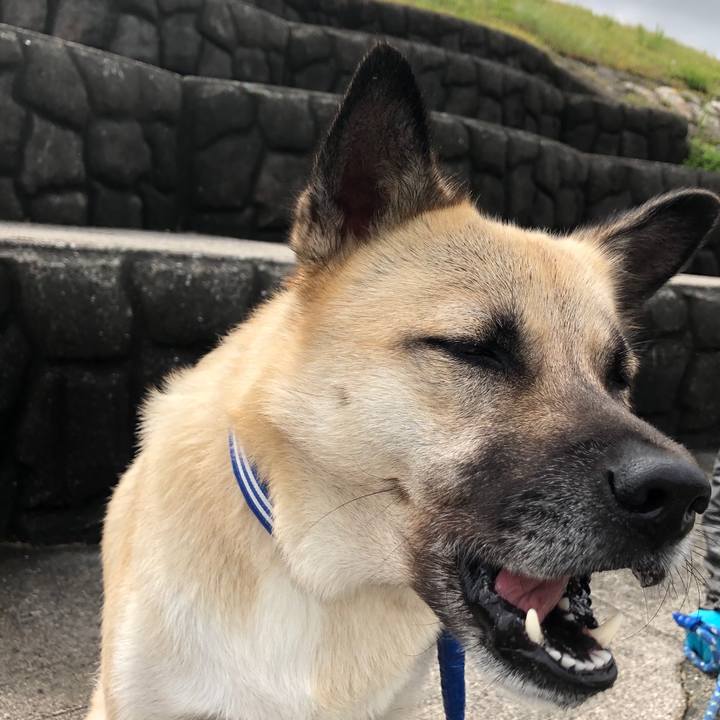 5881a435 844a 40c3 9092 908a5f18f9aa 1571471901906