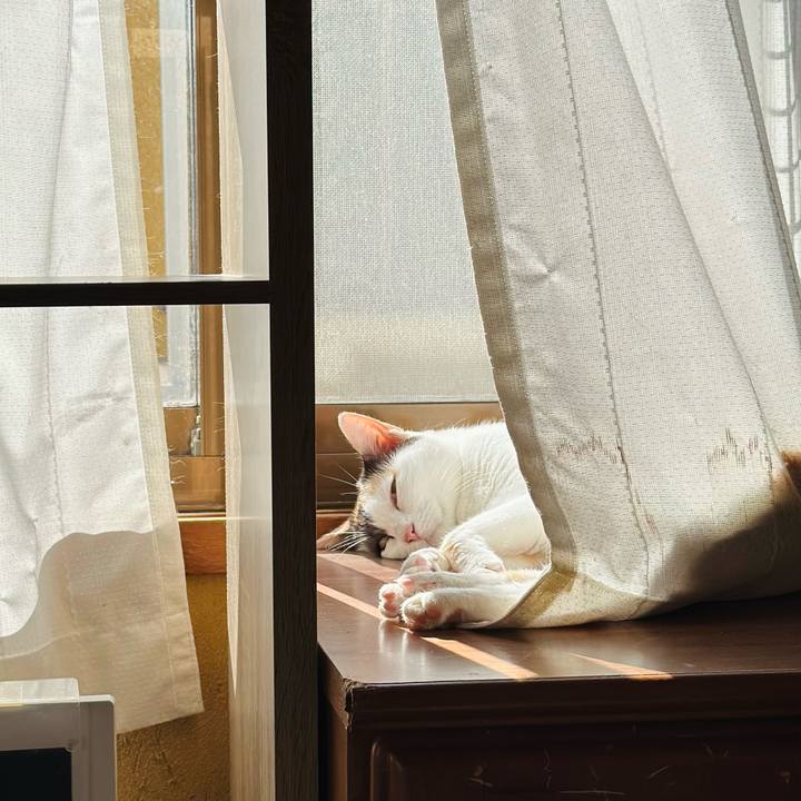 5881b52e 720a 494f b368 ab75ad4a6e9a 1700098604895