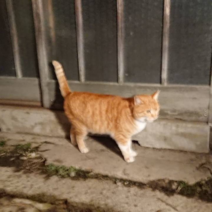 5881b5a2 74bb 49f2 8368 5a222b27a6bf 1576658935734