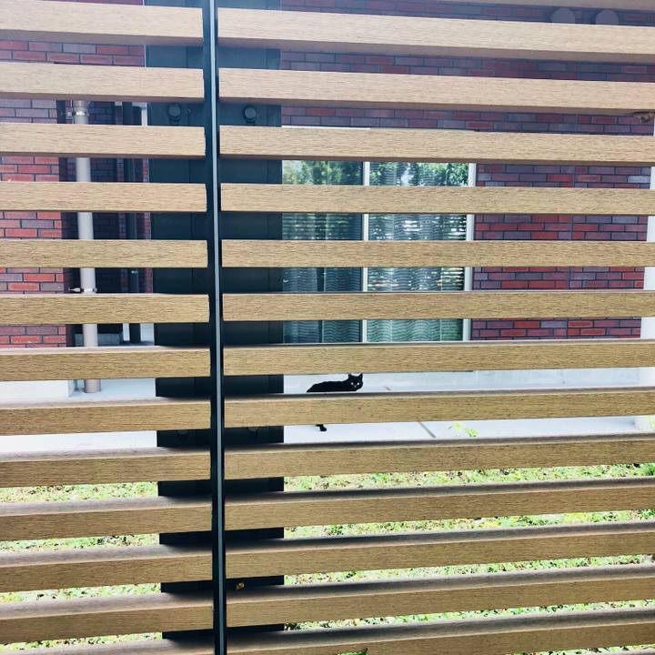 5881dee2 e499 43b8 9a56 339487be9c00 1533429857811