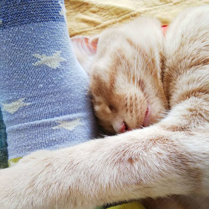 58821341 0ade 45ea a87d e4bc471f4dc7 1557017865872