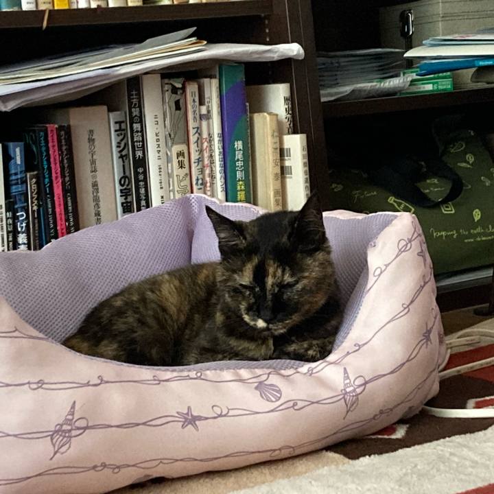 58821825 e561 4a83 9008 f0f37e94dfdc 1656987359810