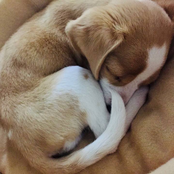 58823245 b30b 4287 8d72 1bb8cd1a7064 1676200789800