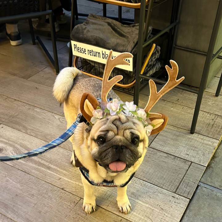 58823ba0 aa62 4941 85ef b3d6155803ff 1732716059973