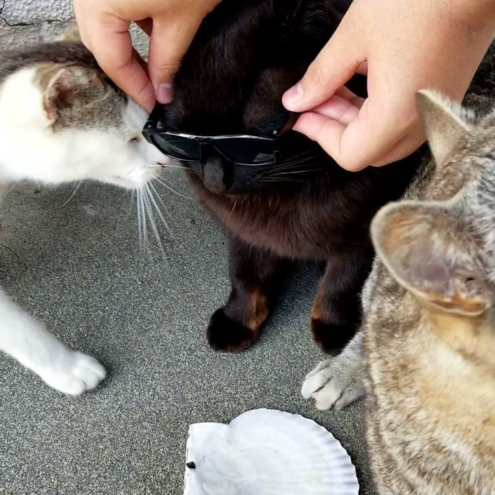 58827759 8e4c 429b adef 1e241f3e4359 1684854340622