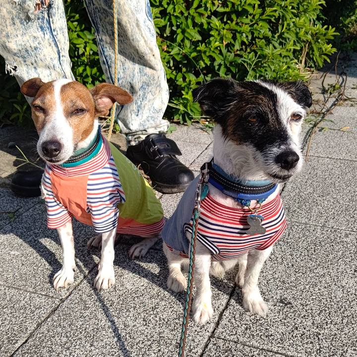 58829e0f dd44 48ea 820b e9aef3e19eca 1720390519182