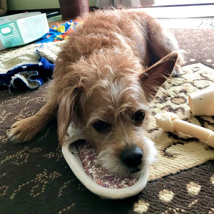 5882a195 e4f6 493f 8e96 54f23bdf374c 1601352706262