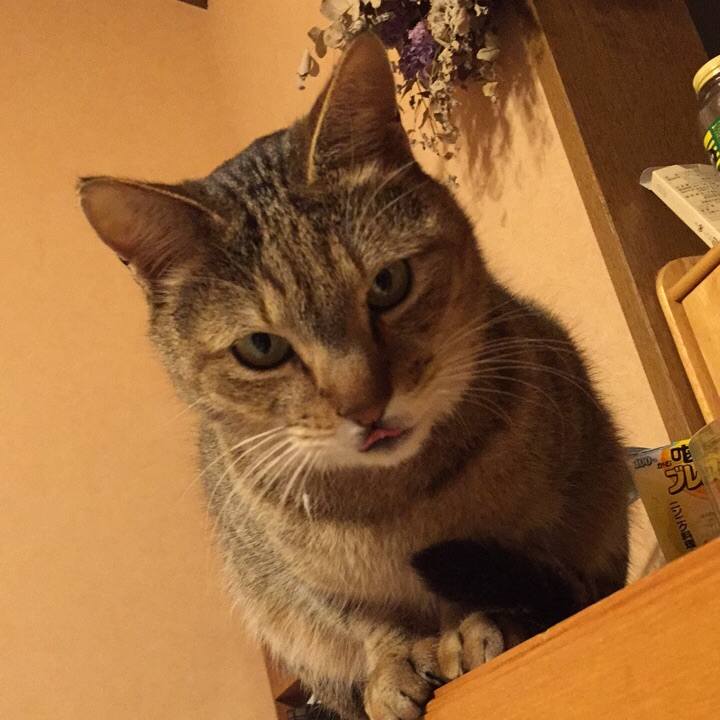 5882c21e 3dae 47dd 8ec5 14df0bb5e370 1580940749807