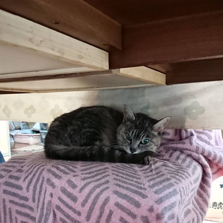 5882d079 eb4d 4ffa b4a8 7437d62952ab 1588624823604