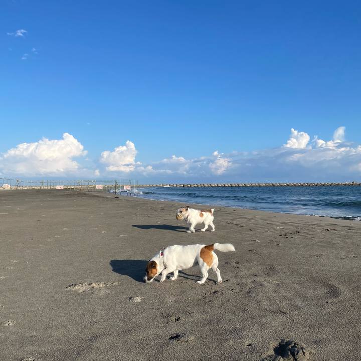 5882e63e a0bc 4622 9e46 d809ae1bf21d 1759186825860