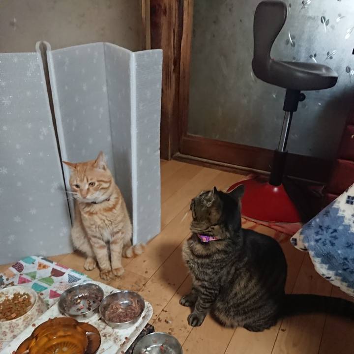 588300a1 120e 48de af41 b8640e08283d 1649281569387