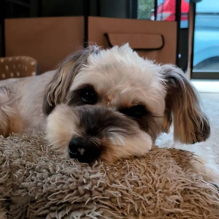 58834bfb 4080 41c4 9730 cc05f5b918f3 1759545729595