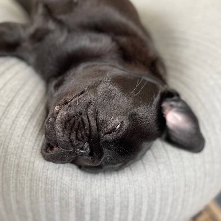 58836de2 7431 43aa 8e0c 6b47e722b3c7 1622629061791