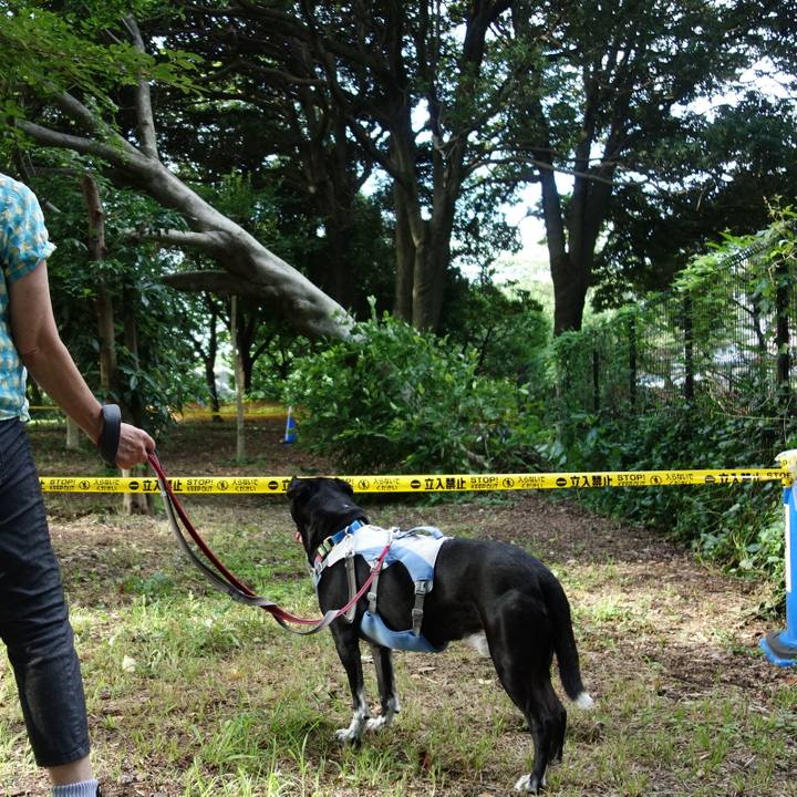 5883bb7f 2f24 4e82 8f71 c1f3308bf1d9 1721954748690