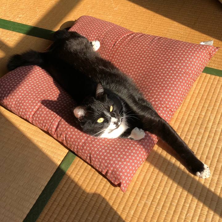 5883d53e 7def 4a65 bcdd 270db4a0cc21 1520221432578