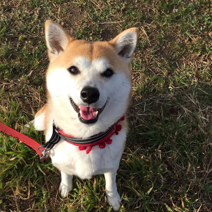 5883d6cb 4be4 4c32 8e4d 12972533535d 1519949796518