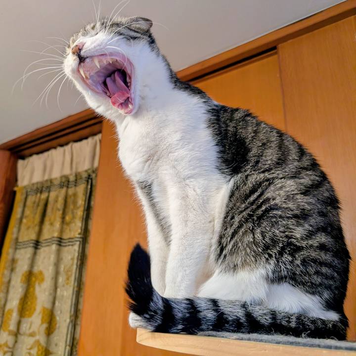 5883f81e 0adb 4a9f bb4b b1a1e25118ab 1769554615193