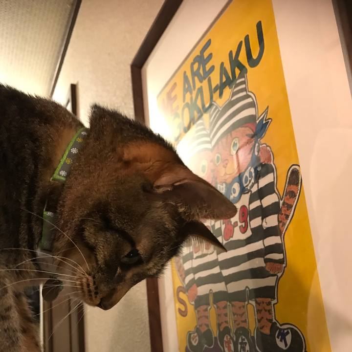 58840df5 f67b 42e5 bc19 a45ca4289445 1587225117704