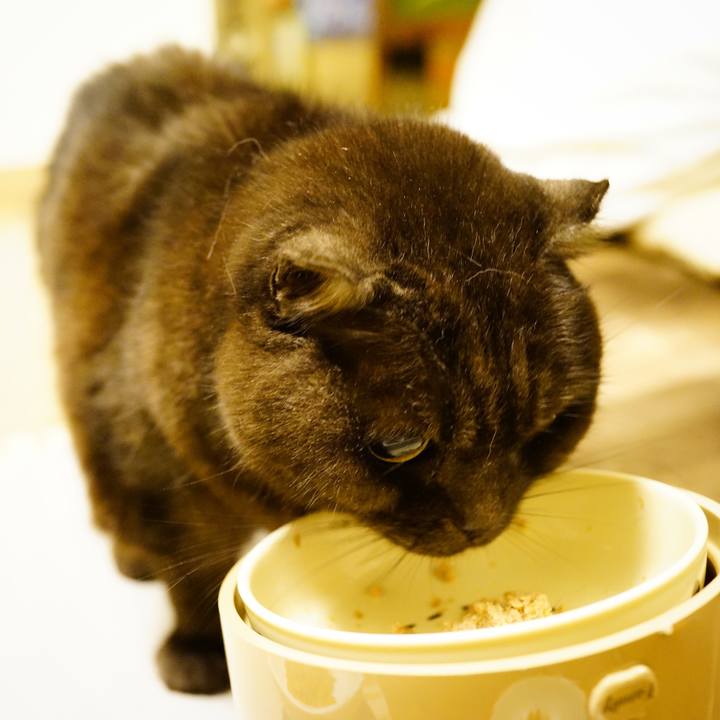 58841cd5 dfc7 4808 9254 995a80c6e5b3 1643299645475