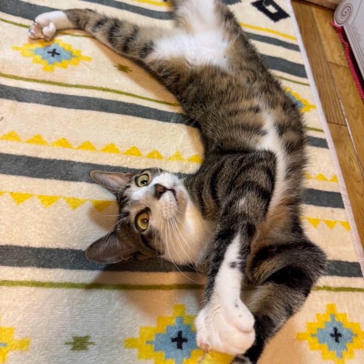 58841eb1 71cb 40ab a550 8017704ed7b4 1735427741318