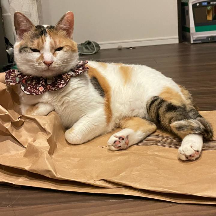 58842963 123a 4191 a58e 4ed39f33073e 1752501340411