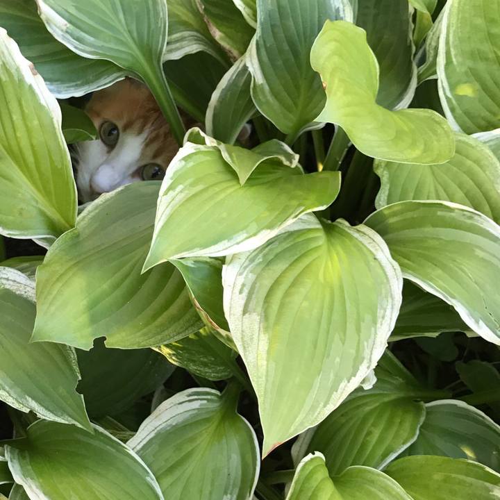 588479ab f315 421f bb7d 73dc1e63d343 1534045475298