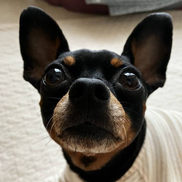 588497a9 51aa 4e0a 9f36 7bf52a0368d8 1687214068852