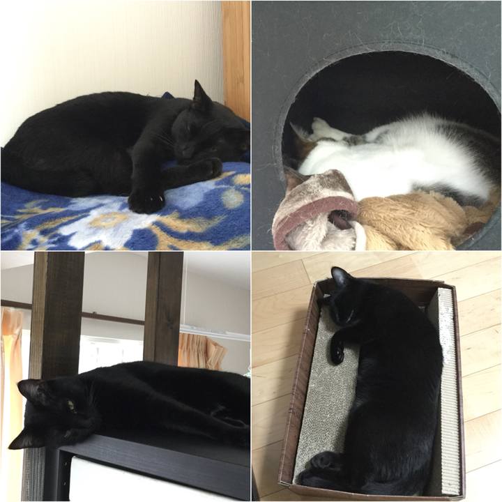 5884a0d0 79fa 46cd 89f5 405e7f9280ff 1527907483732