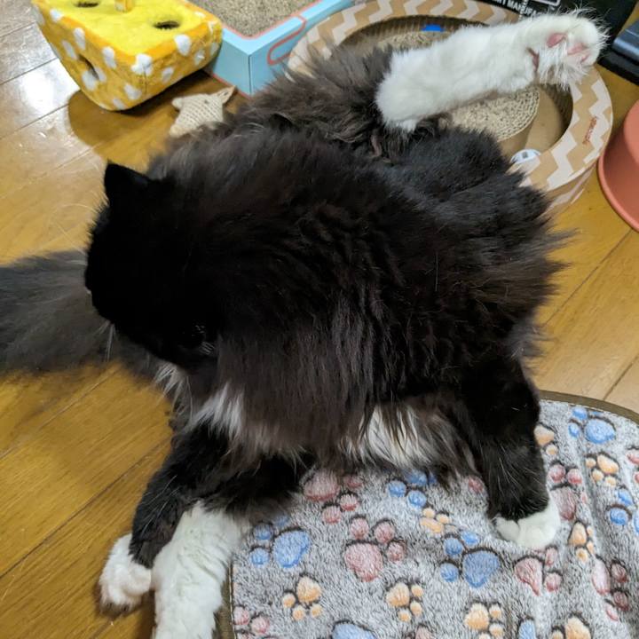 5884c494 f7d9 4506 a842 08fd0fc674f9 1687349160105