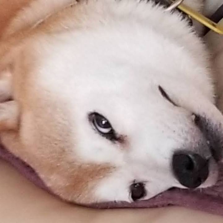 5884ef25 d4bb 4e11 affa 33684ce95cd1 1693543641407