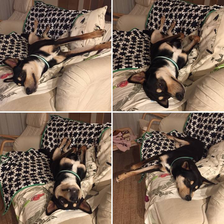 58850eec 07c0 4d99 bbe9 27393d2f25aa 1516285245408