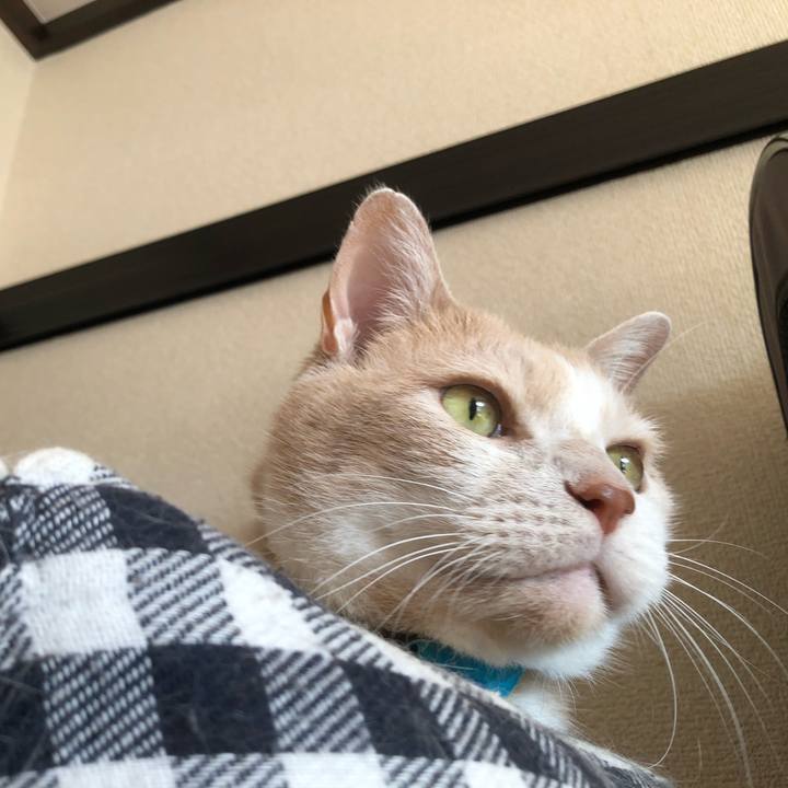 58859ac6 6d31 40b6 bacc b1e819a8ea2e 1604099859089