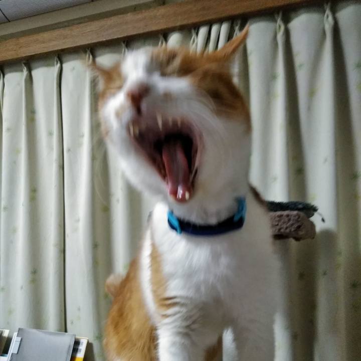 58859b7b 872d 4648 81d1 c8f38d461f68 1580472522840