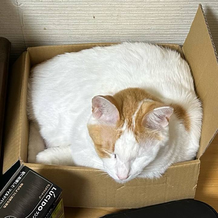 5885b616 0cc8 4be1 bfd4 8ec18709eccc 1670559528166